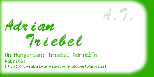 adrian triebel business card